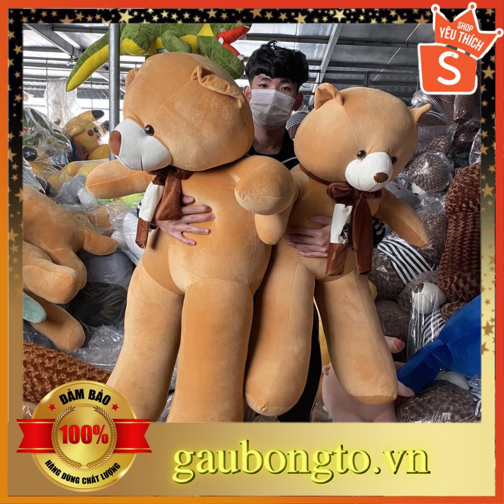 Gấu bông to Teddy Khăn 𝑯𝒂̀𝒏𝒈 𝑪𝒂𝒐 𝑪𝒂̂́𝒑, gối ôm thú nhồi bông Teddy Khăn cute, chất liệu vải nhung Hàn Quốc