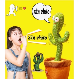 Cây xương rồng nhảy múa