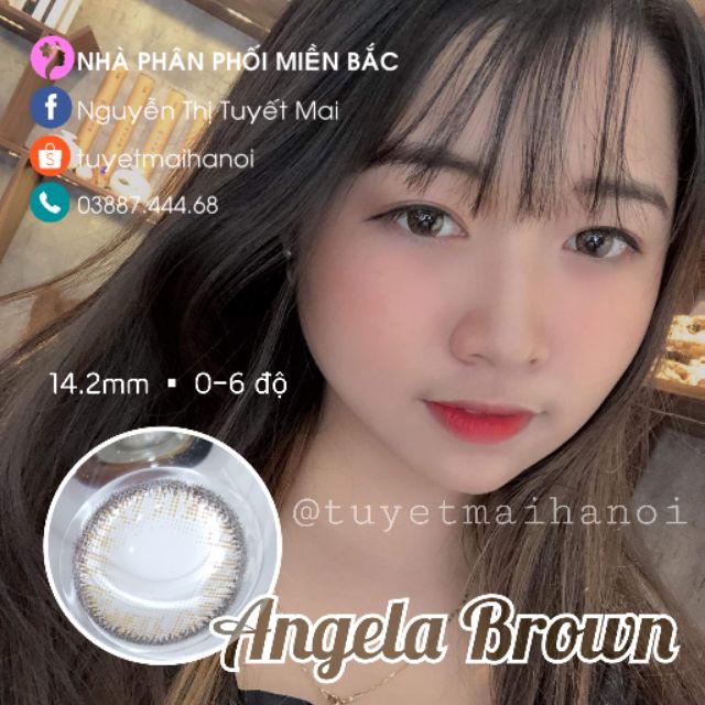 [ Ảnh Thật ] Lens Cận Nâu Tự Nhiên Angela Brown 14.2mm - Kính Áp Tròng Hàn Quốc Vassen Sexy Me