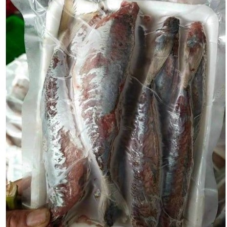 49k 500gr Cá Nục Lột Da 1 nắng