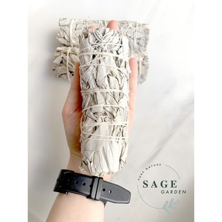 XÔ THƠM TRẮNG_Siêu tiết kiệm (13-14-cm)_SAGE GARDEN