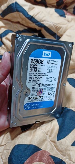 Ổ cứng hdd 160gb 250gb western