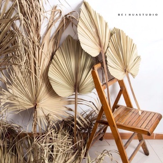 ⭐️ ẢNH THỰC TẾ⭐️ lá cọ cỏ lau khô trang trí hàng nhập khẩu