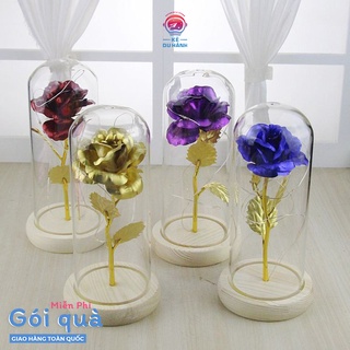 Đèn ngủ Kẻ du hành hình hoa hồng như phim Người đẹp và quái vật