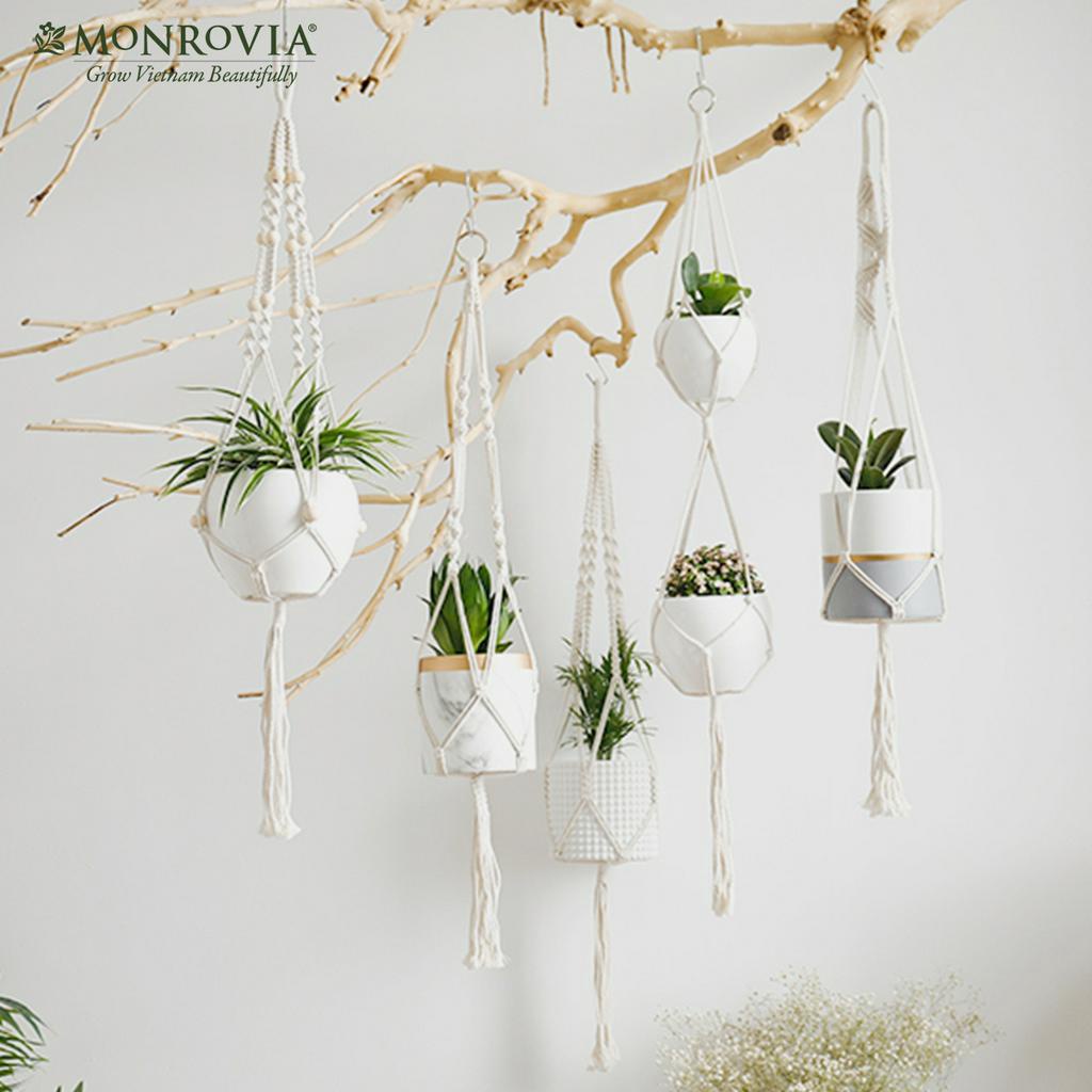 Combo 4 dây treo chậu cây Macrame MONROVIA, decor trong nhà, ban công, sang trọng, đan thủ công tỉ mỉ từ sợi cotton