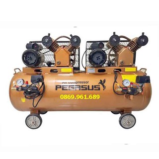 Máy nén khí Pegasus TM-V-0.25/8x2-230L
