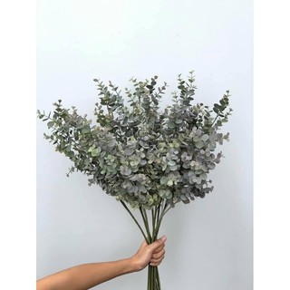 Lá táo điểm cao cấp