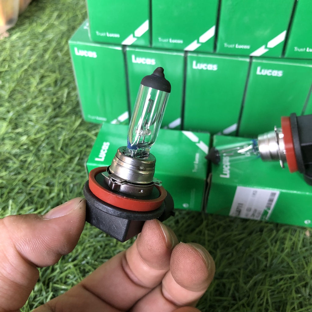 BÓNG ĐÈN GẦM CHÂN H11