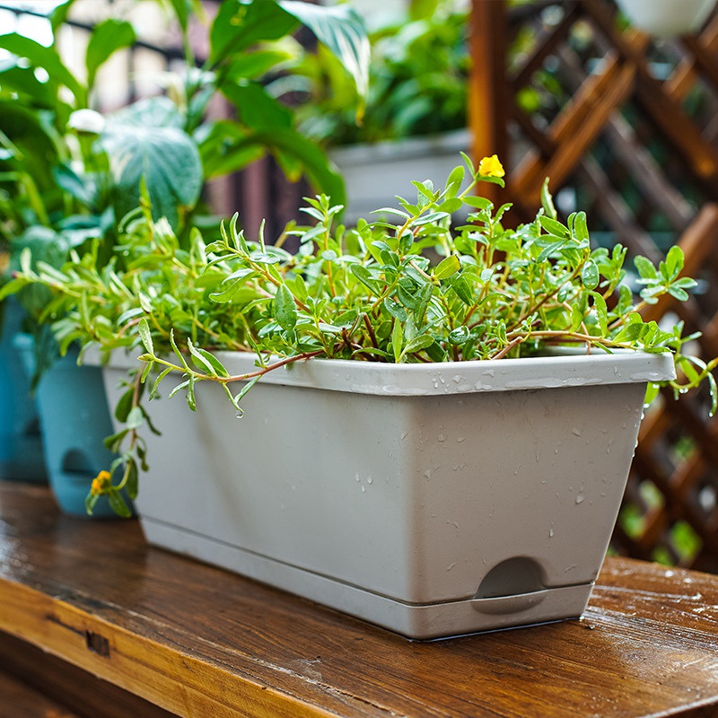 Bộ 3 Chậu Trồng Cây Tự Tưới Hình Chữ Nhật Hiện Đại