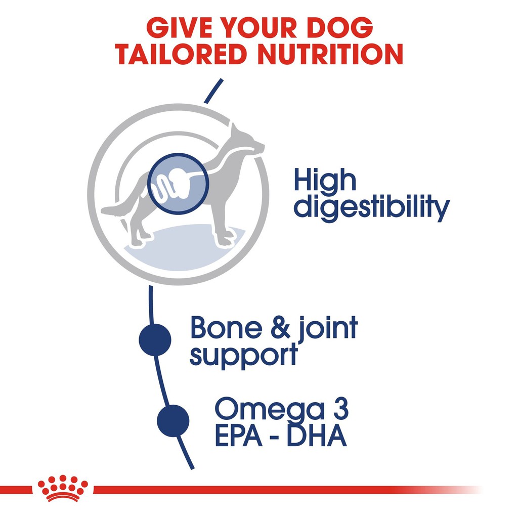 Pate Cho Chó Lớn Royal Canin Maxi Adult 140g - Hộp 10 Gói