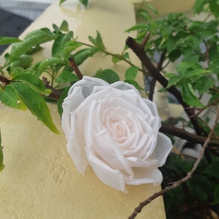 Hoa cài áo handmade cao cấp