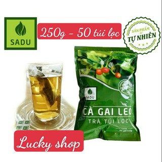 250g trà túi lọc trà cà gai leo Sadu