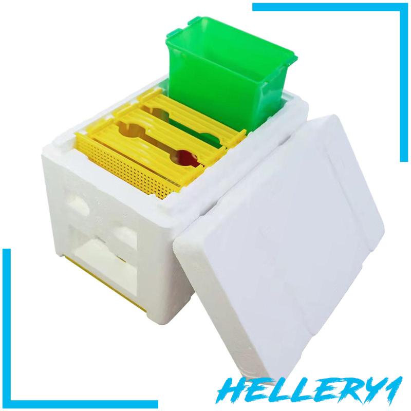 Hộp Nuôi Ong Chúa Breeding Queen Bee 1