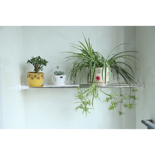 Thanh treo rèm thông minh - không gỉ - không khoan tường nhiều kích thước