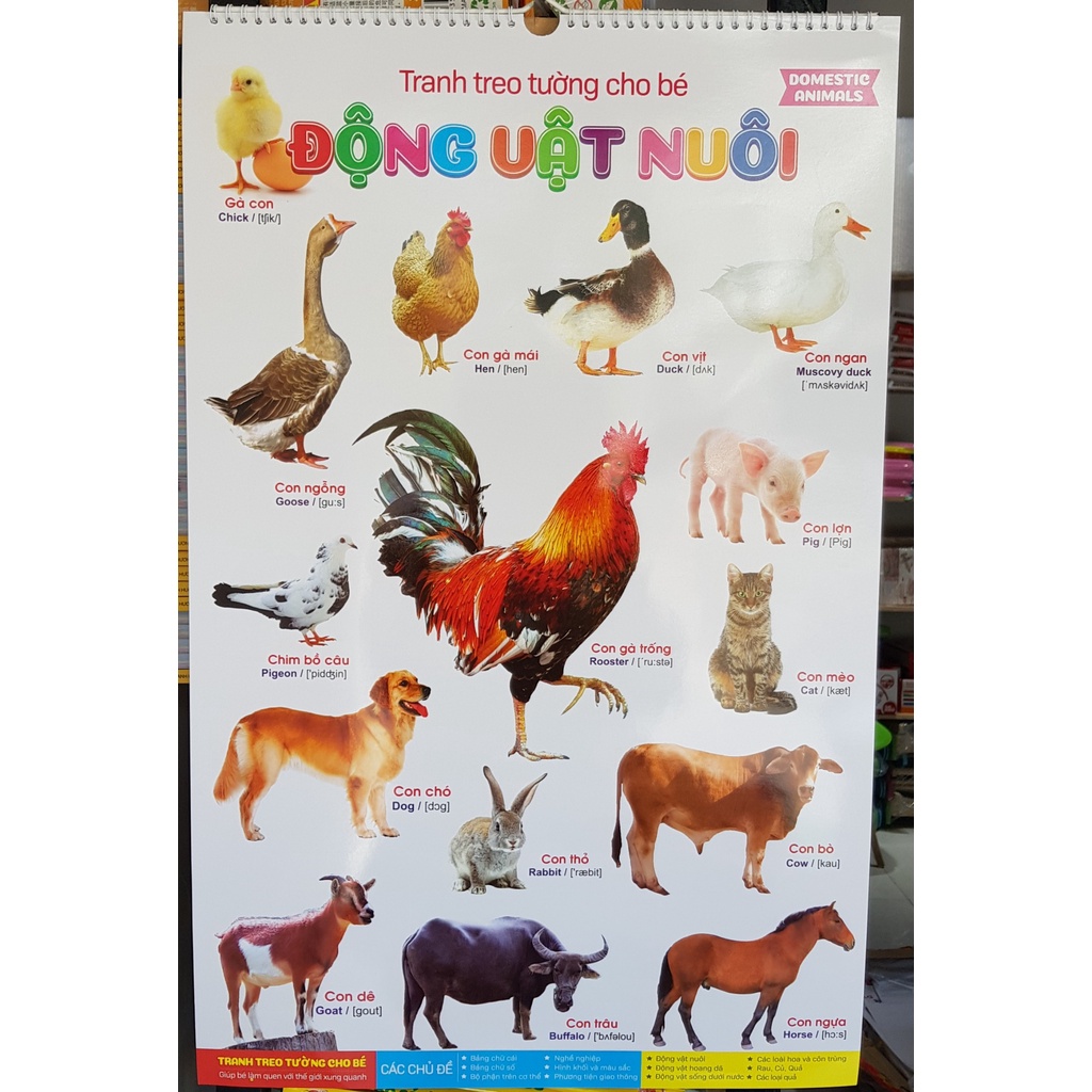 Combo 2 bộ tranh treo tường phát triển IQ và EQ cho bé học và chơi