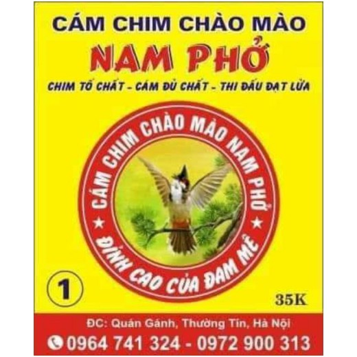 Cám chim giành chao chào mào thương hiệu NAM PHỞ số 1, số 2