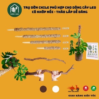 Trụ dớn chile trụ cho cây leo có thể tháo ráp nối dài tiện lợi