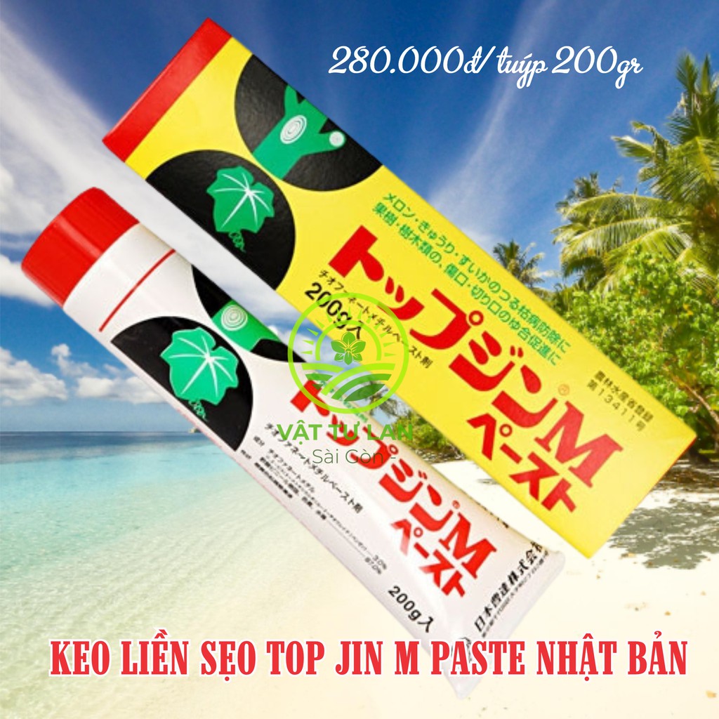 Keo liền sẹo TOP JIN M PASTE Nhật Bản tuýp 200gr