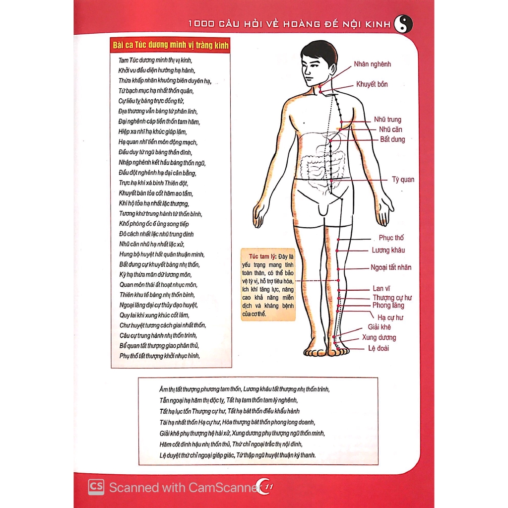 Sách - 1000 Câu Hỏi Về Hoàng Đế Nội Kinh