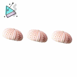 3PCS Small Ornaments of Sea Shells and Sea Urchin Shells (Excluding Plants)
