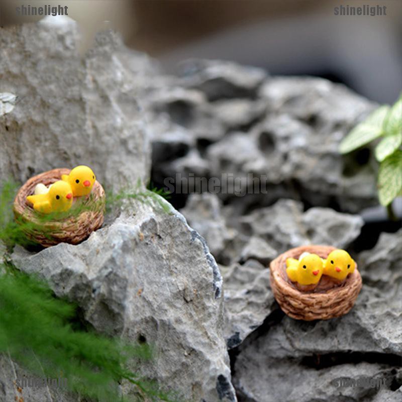 Chim Trang Trí Sân Vườn