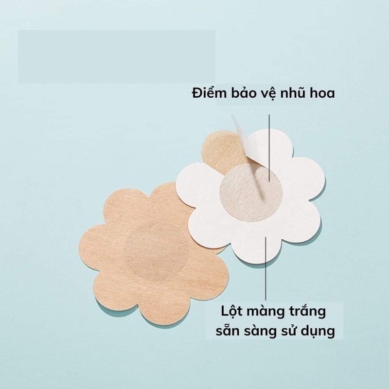 hộp 60 miếng dán ngực giấy cao cấp