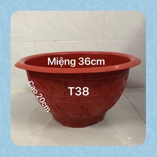 Chậu trồng cây cảnh T38 đỏ gạch dày dặn