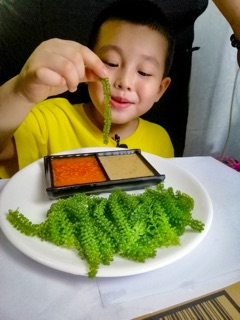 RONG NHO TRƯỜNG THỌ