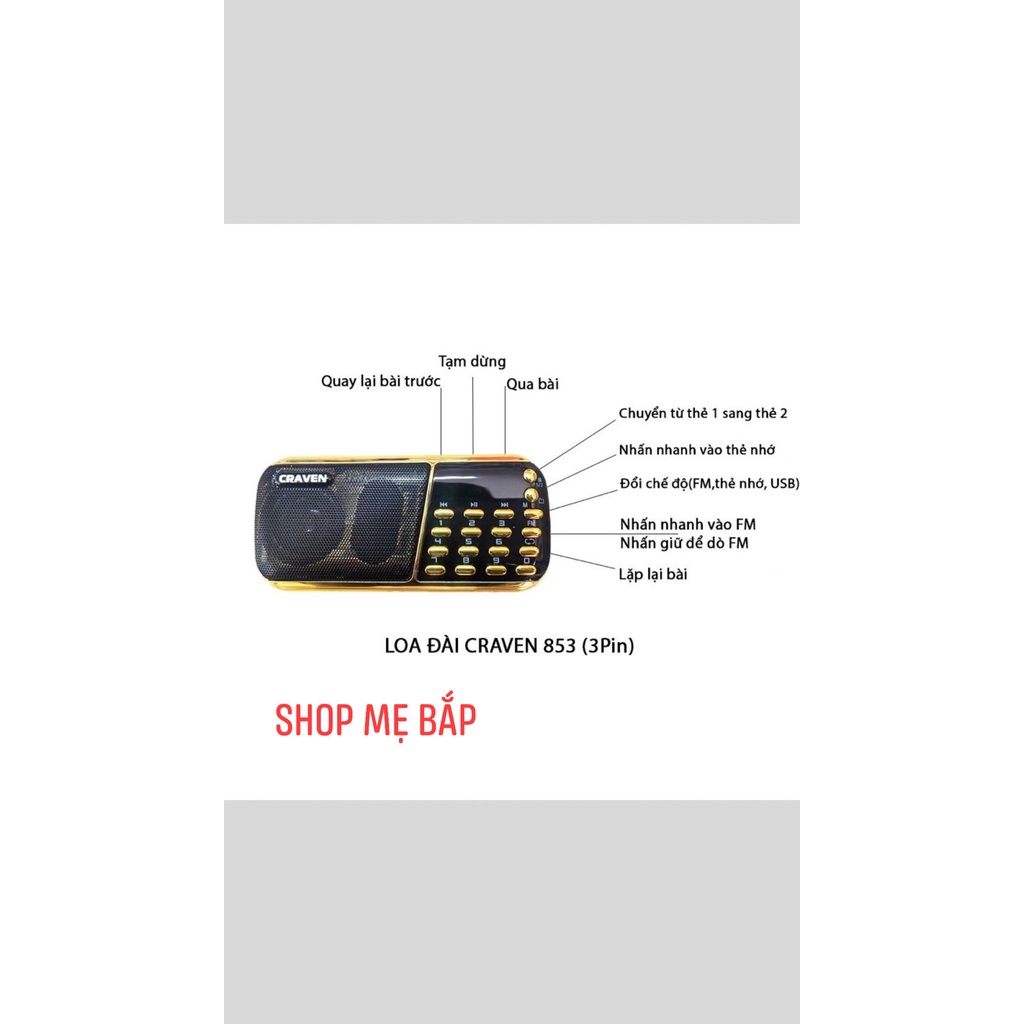 Loa học tiếng anh cho bé, loa tắm ngôn ngữ cho bé, đài FM