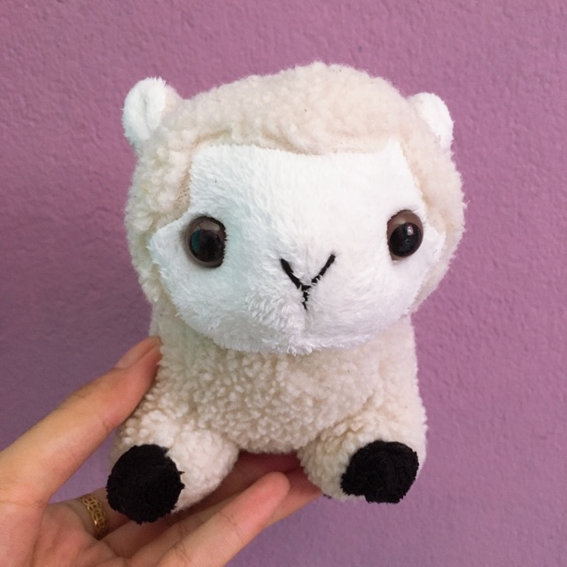 Gấu bông cừu trắng