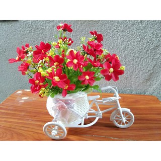 Xe đạp hoa trang trí