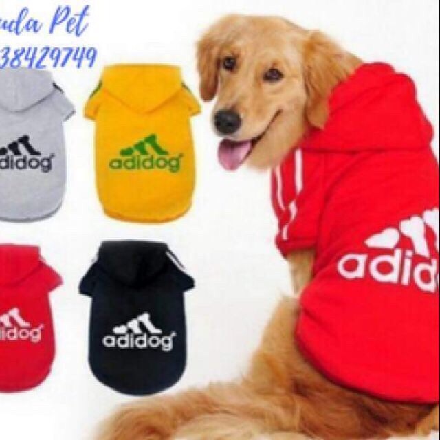 Áo cho pet yêu petbigbang