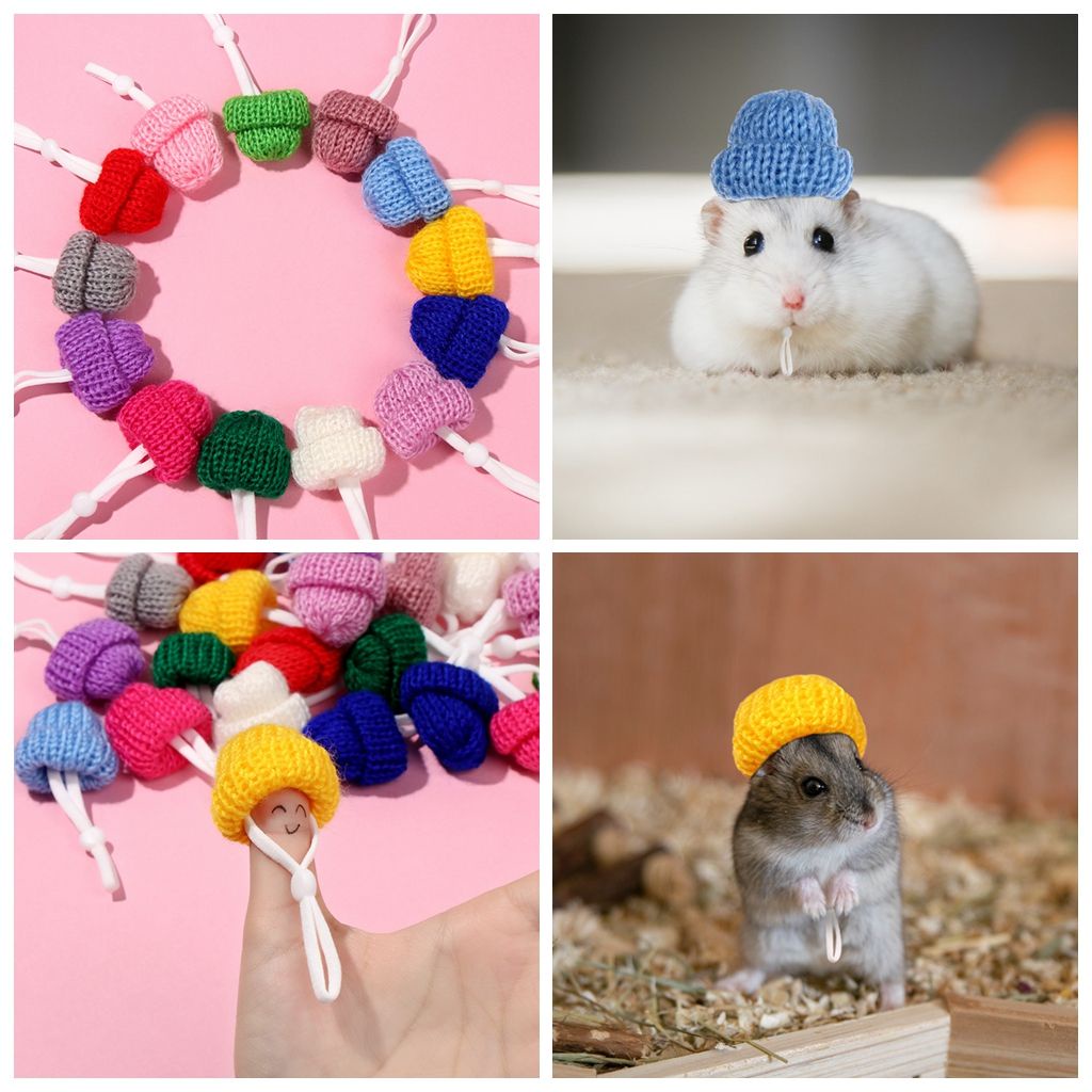 Set 2 mũ len giữ ấm màu trơn nhiều màu tùy chọn dễ thương cho thú cưng