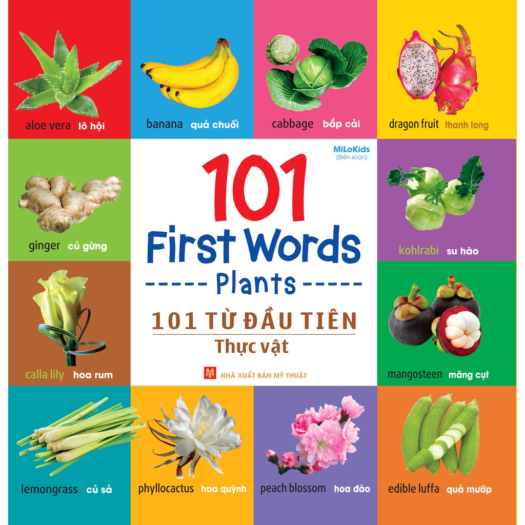 Sách: 101 First Words - Plants / 101 Từ Đầu Tiên - Thực Vật - TSMN