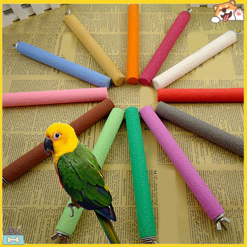 Thanh cho chim đứng mài móng tiện dụng cho chim vẹt cảnh