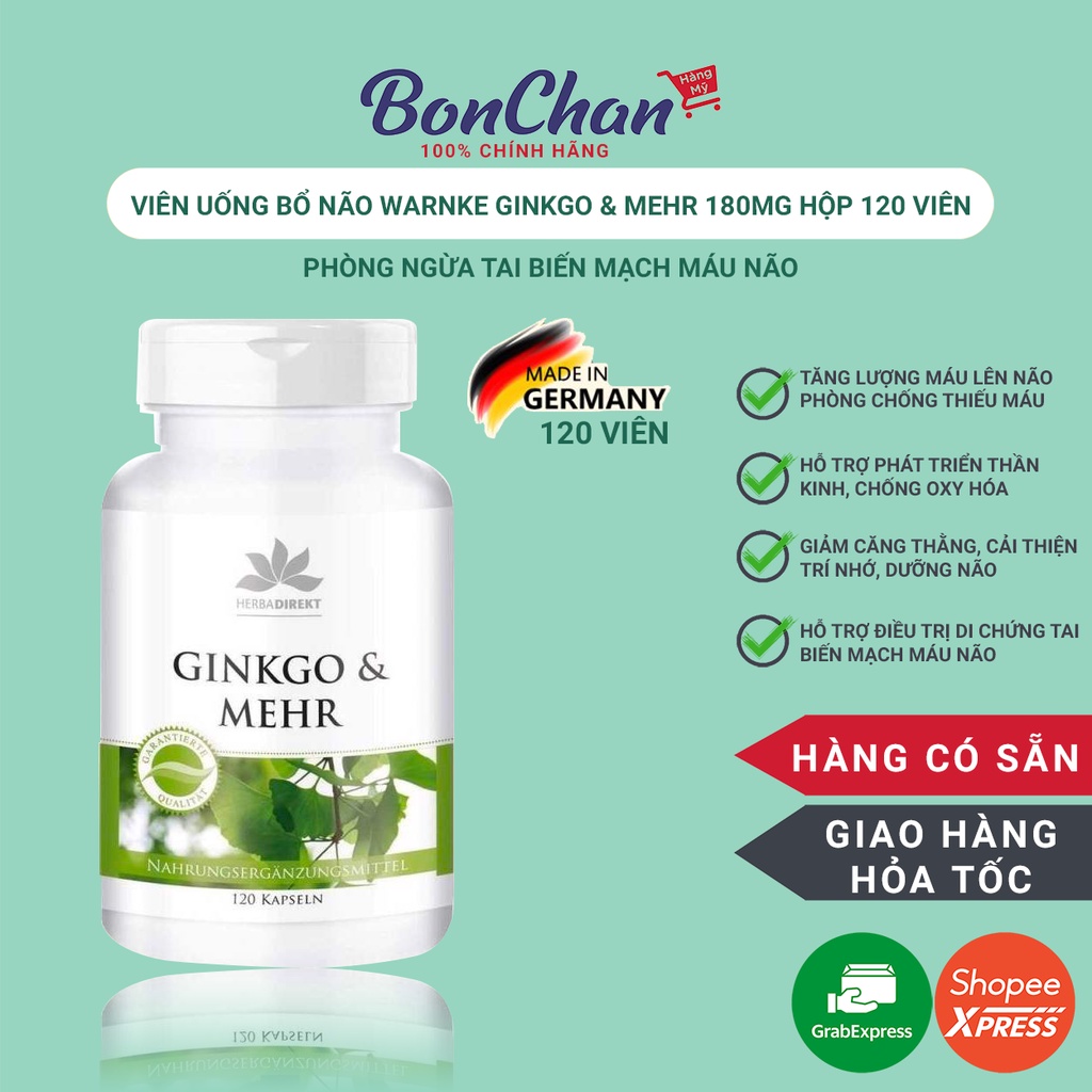 Tăng cường lưu thông máu lên não, phòng ngừa tai biến mạch máu não - WARNKE GINKGO and MEHR