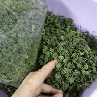NỤ HOA TAM THẤT(100g)