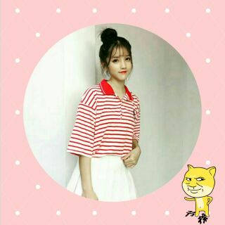 Polo thêu style ulzzang sọc hai màu
