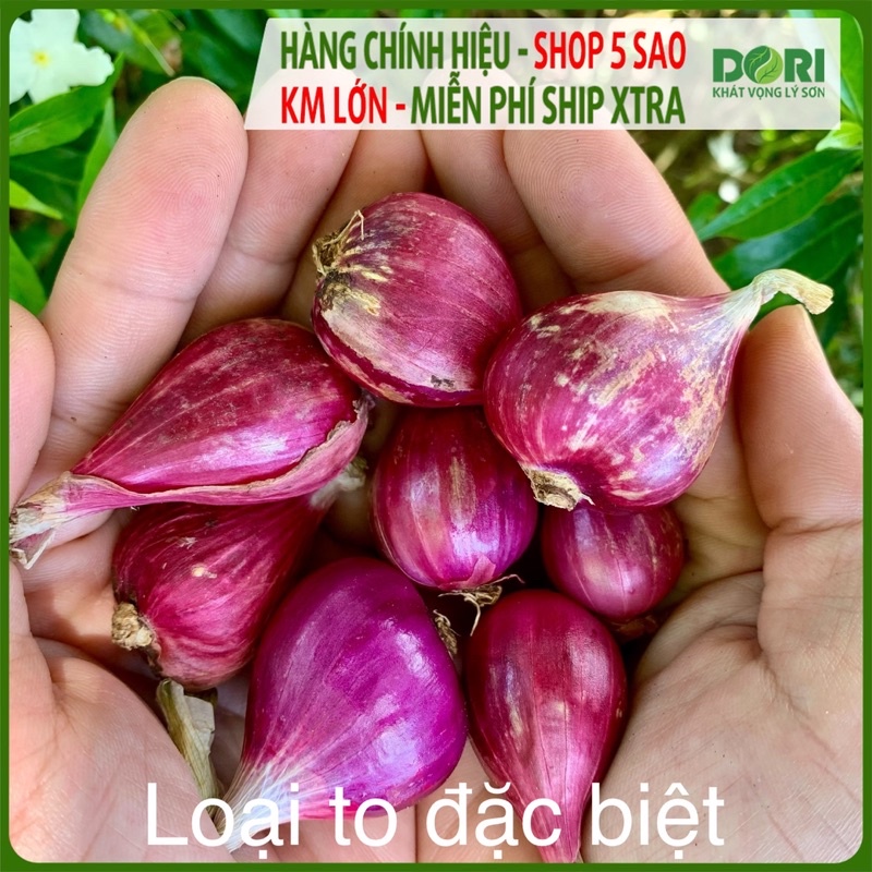 Hành tím Lý Sơn Dori - Túi lưới 1kg - Trồng tại đảo Lý Sơn - Cam kết đúng xuất xứ
