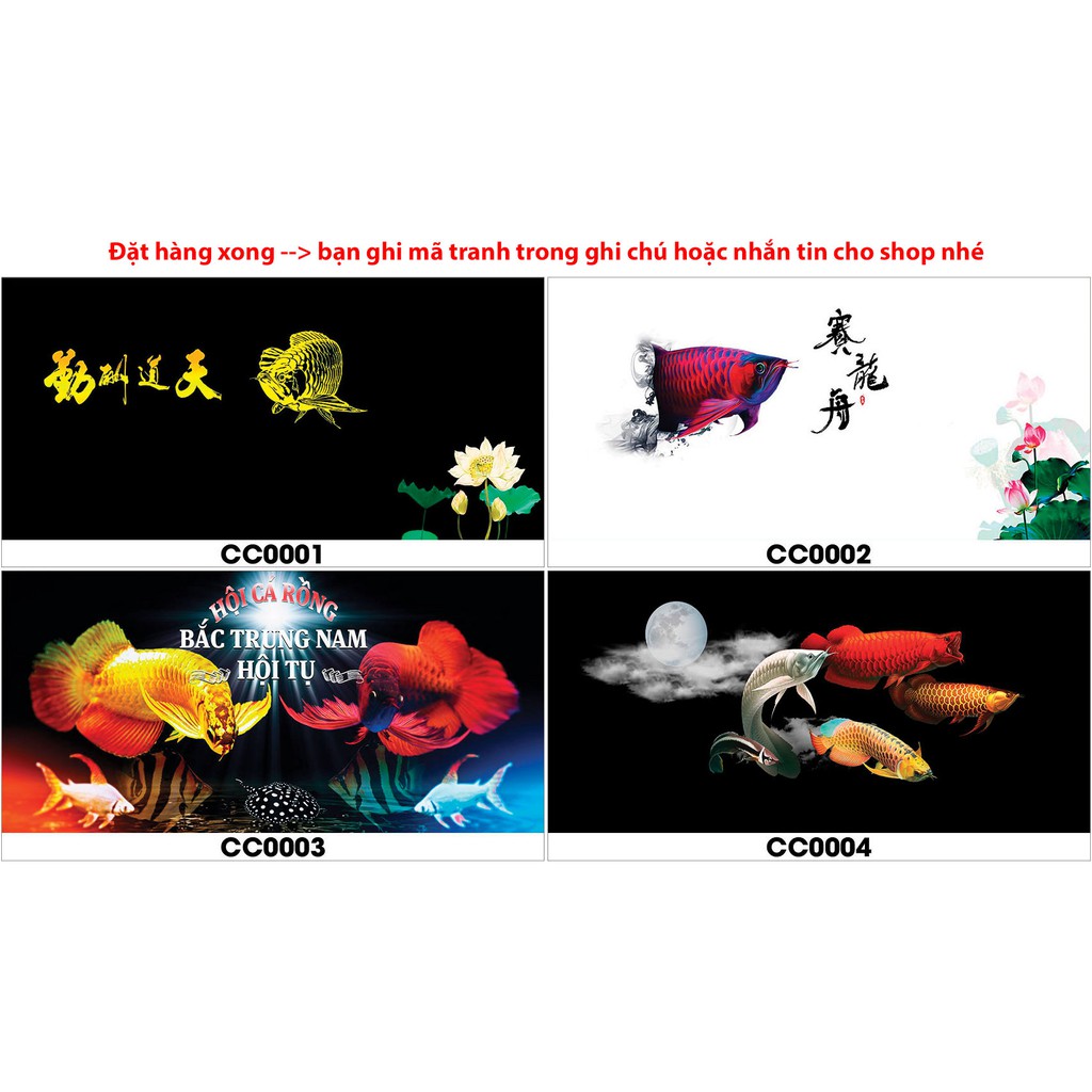Tranh hồ cá CC cá rồng có keo sẵn