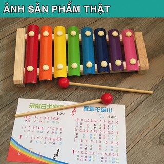 XẢ KHO Combo 5 món đồ chơi gỗ cho bé