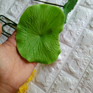 Combo hoa sen @Fb Sao mai