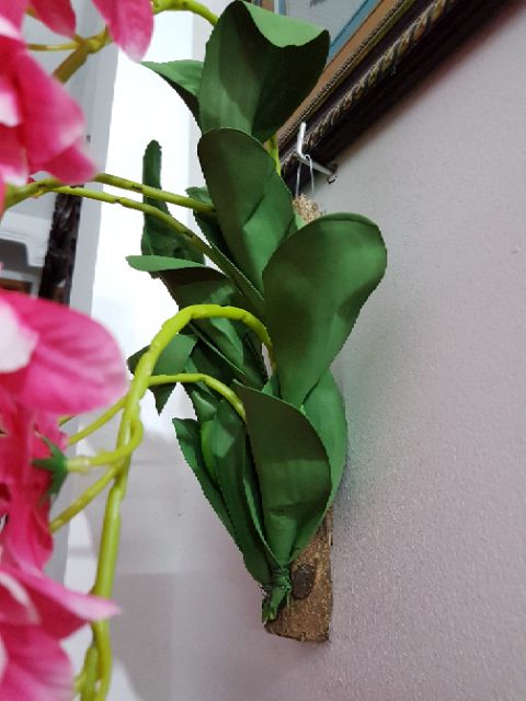 Giỏ hoa lan treo tường