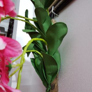 Giỏ hoa lan treo tường