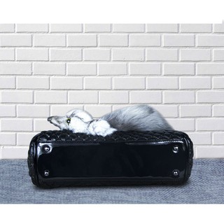 (ORDER) Túi cáo siêu độc