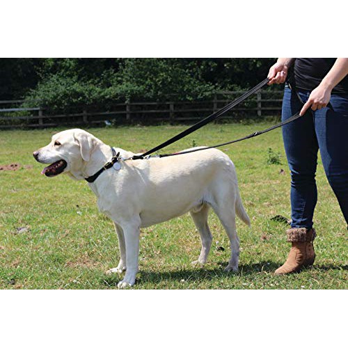 Dây dắt đa năng cho thú cưng HALTI  TRAINING LEAD (RED)(LARGE) 25 mm x 200 cm