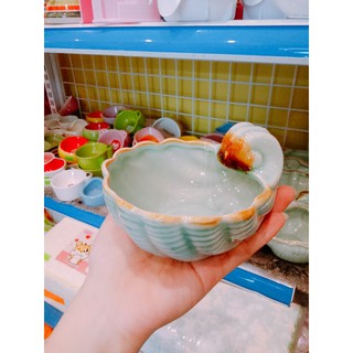 chén ốc biển - vỏ sò cho thú kiểng