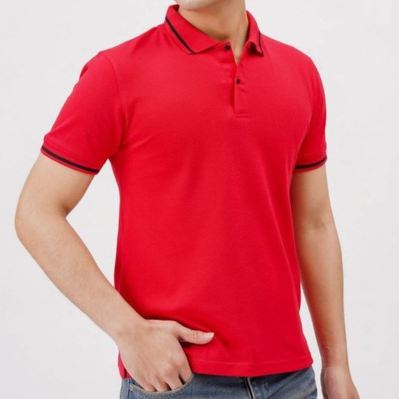 Áo Thun Nam POLO Cotton cá sấu TAHISTYLE Áo Thun Cổ Bẻ Tay Ngắn Cao Cấp Có Viền | BigBuy360 - bigbuy360.vn