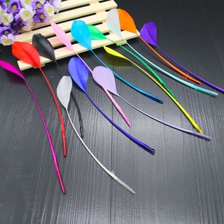 Lông vũ cánh đủ màu dài 12-18cm