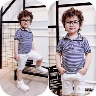 Áo kẻ ngang cổ đức thể thao